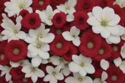 Stock Photo of Red flowers and white flowers decoration