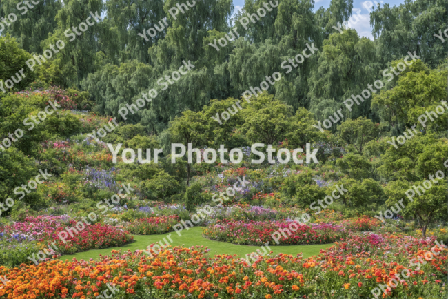 Stock Photo of Garden flowers trees nature big place