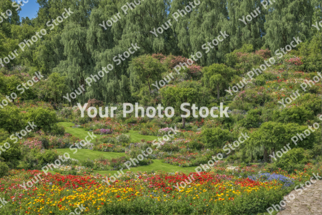 Stock Photo of Garden flowers trees nature big place old