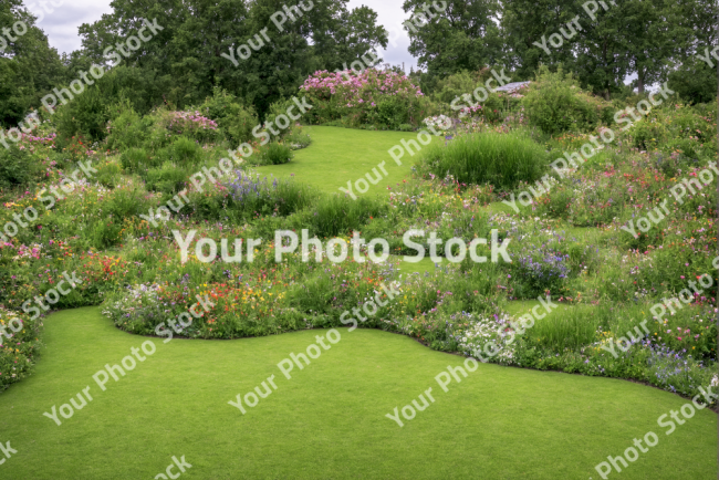 Stock Photo of Garden of dreams with grass flowers and trees on the background