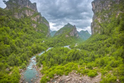 Stock Photo of River on the mountains in the overcast day jungle nature enviroment