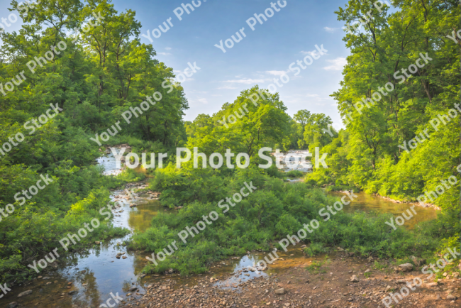 Stock Photo of River on sunny day with nature, trees and sky