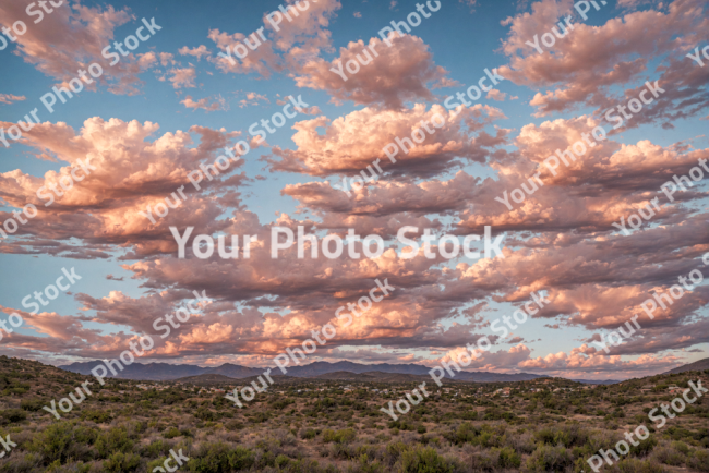 Stock Photo of Big clouds on the sky and ground plants