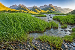 Grass in the river surrounded by mountains in the morning