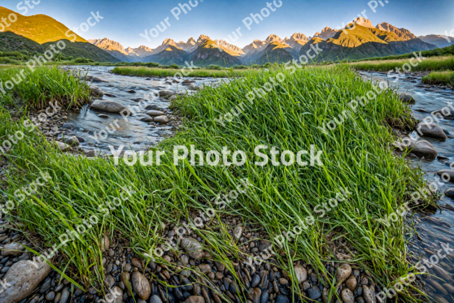 Stock Photo of River in the mountains with green grass in the morning