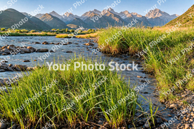 Stock Photo of River covered with green grass in the mountains in the morning