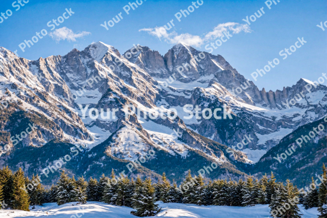 Stock Photo of Snowy mountain during the day with pine trees