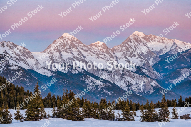 Stock Photo of Snowy mountains at sunset with pine trees on the slope