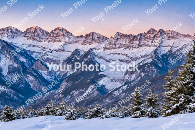 Stock Photo of Beautiful snowy mountains at sunset with pine forest