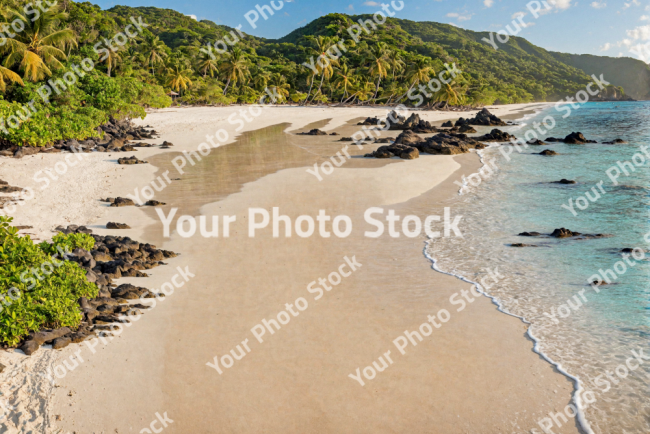 Stock Photo of Tropical beach sand and sea palm trees and nature during the day
