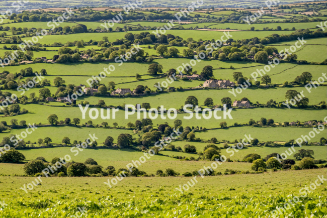 Stock Photo of Agriculture and housing fields