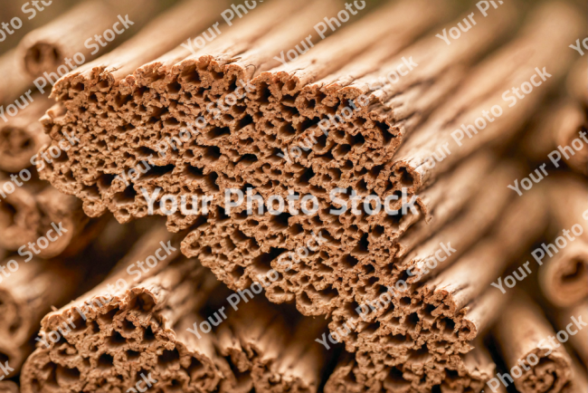 Stock Photo of Wood sticks macro detailed nature