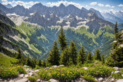 Stock Photo of Big mountains landscape with trees grass flowers and rocks