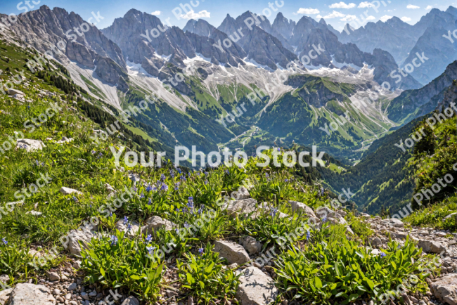 Stock Photo of Mountain landscape nature sunny day grass and bushes