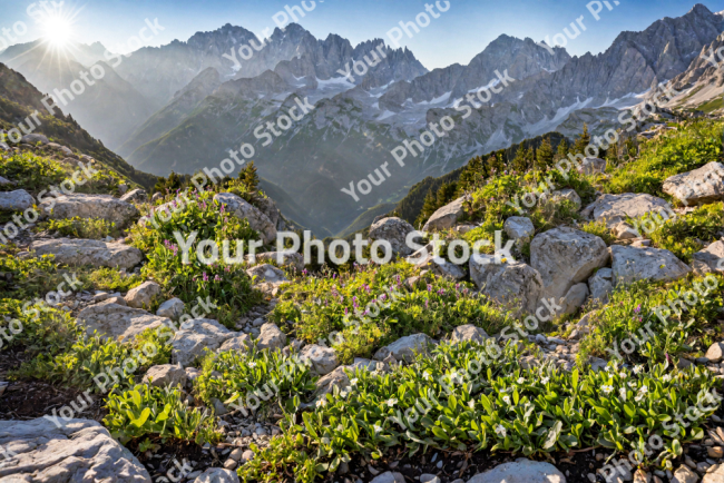 Stock Photo of Landscape in the morning nature and rocks on the ground