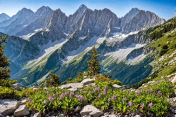 Stock Photo of Big mountains landscape with nature enviroment and flowers