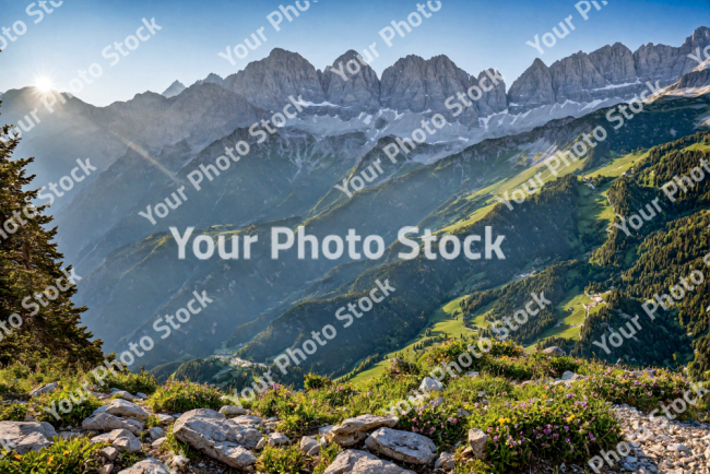 Stock Photo of Landscape alpine grass rocks and tree in mountains