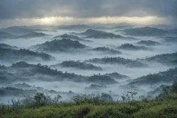 Stock Photo of Fog in the mountains landscape in the morning