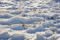 Stock Photo of Snow ground in cold day morning macro