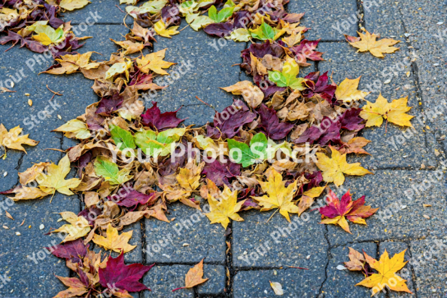 Stock Photo of Color ground with Leaves in the sidewalk