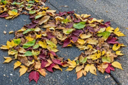 Stock Photo of Leaves of autum cover asphalt