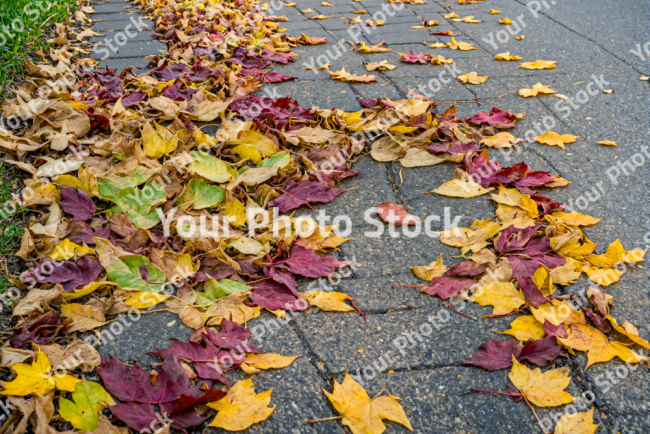 Stock Photo of Autum ground with Leaves in the sidewalk