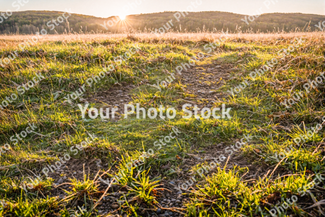 Stock Photo of Nordic landscape nature sunset ground