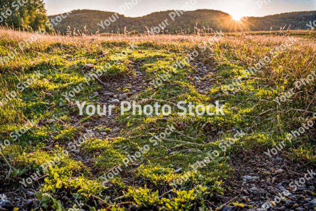 Stock Photo of Nordic grass rocks ground sunset sunrise landscape