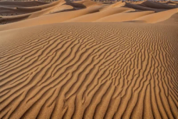 Stock Photo of Dunes desert dry erosion sand egypt