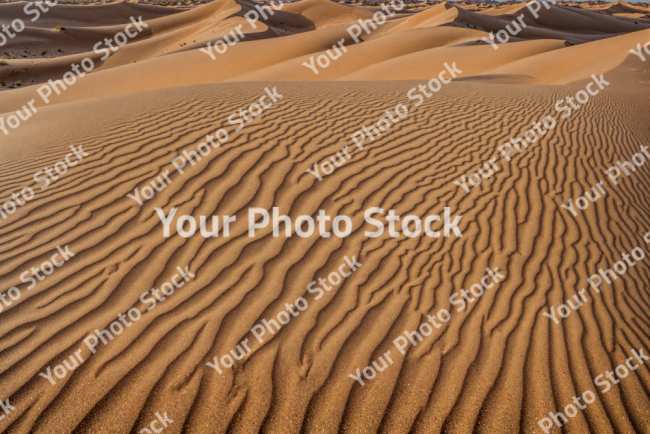 Stock Photo of Dunes desert dry erosion sand egypt