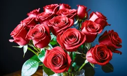 Stock Photo of bouquet of roses flower red orange romantic