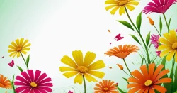 Flowers illustration background wallpaper