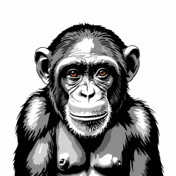 Chimpanzee doodle illustration