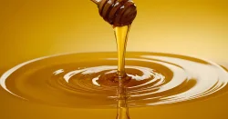 Stock Photo of honey dripping from a wooden dipper